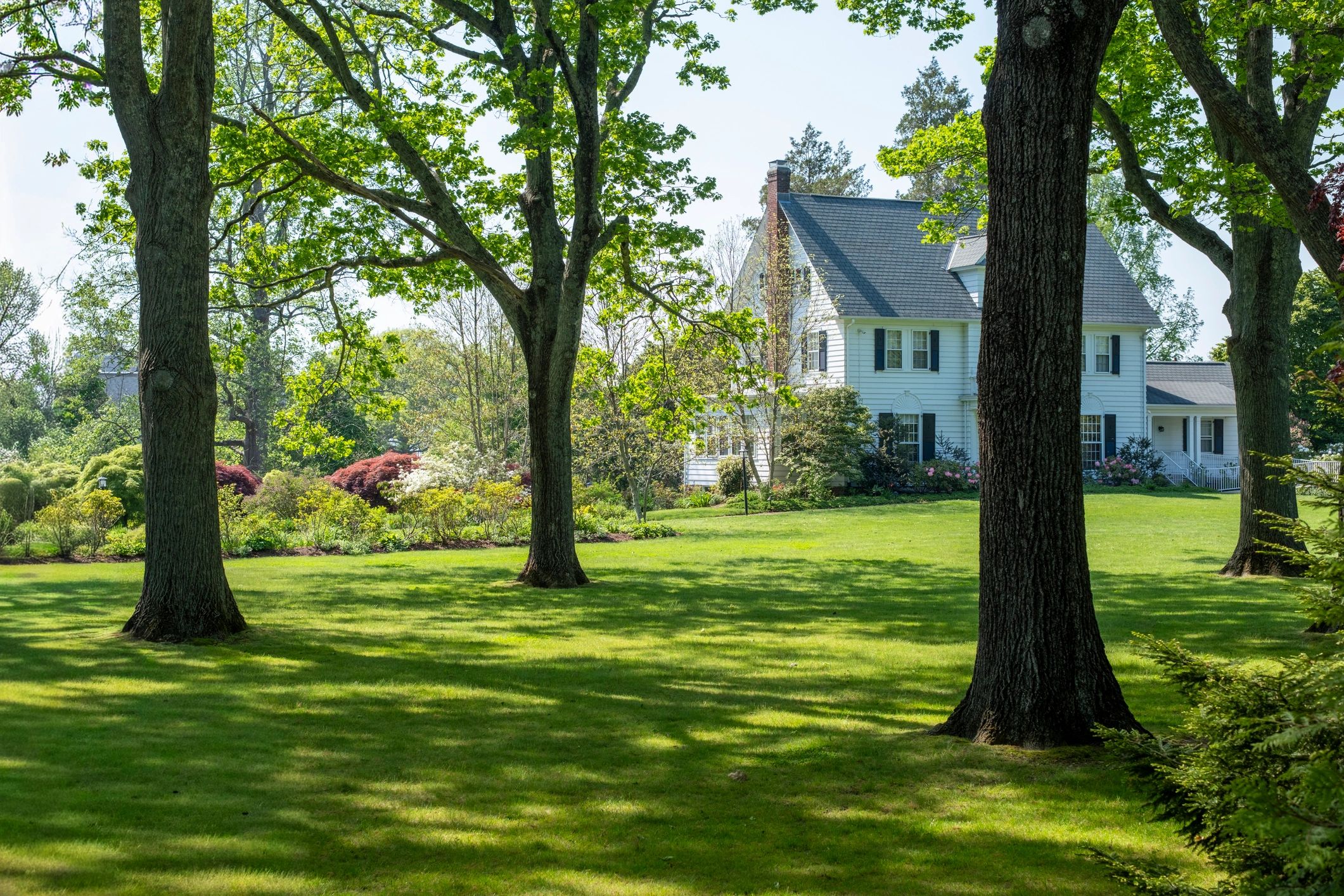 Residential exterior with mature trees and lawn